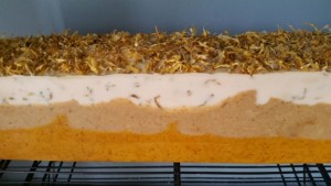 Coconut Calendula Soap