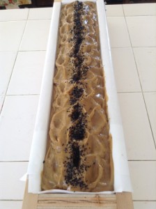 Coffee Soap